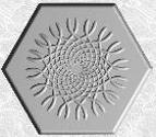 Stepping Stone Mold 005 - Hexagon - Dense Spiral